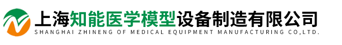上海知能醫(yī)學(xué)模型設(shè)備制造有限公司